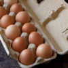 Large Pastured Eggs (1 Dozen)