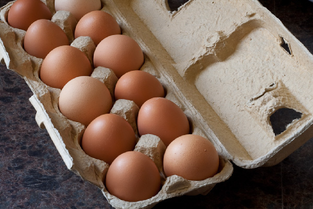 Можно говорить яичко. Яйца перепелов. Pastured Eggs. Говорящее яйцо. Яйца перепелов в корзине.